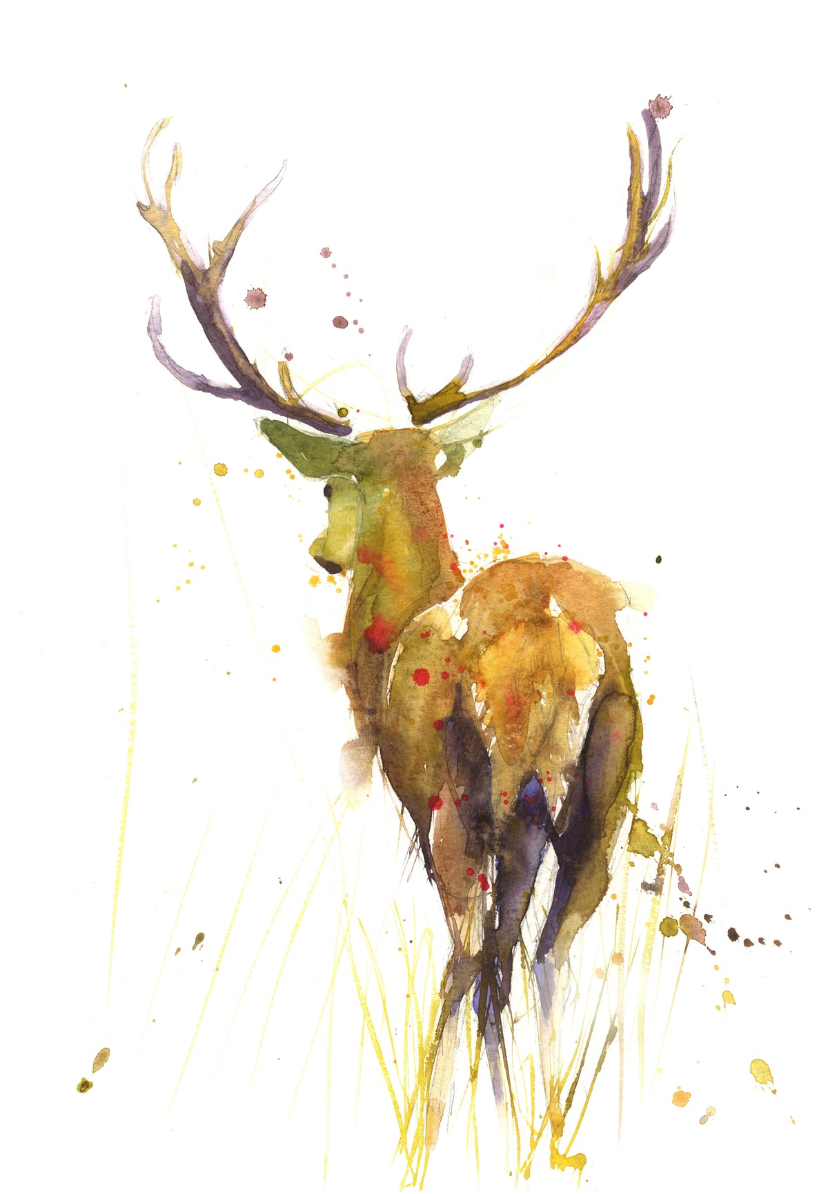 Any print on 100% cotton canvas stretched over museum quality wooden frame - Jen Buckley Art limited edition animal art prints