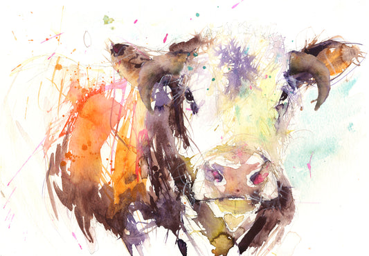 Hereford cow limited edition print