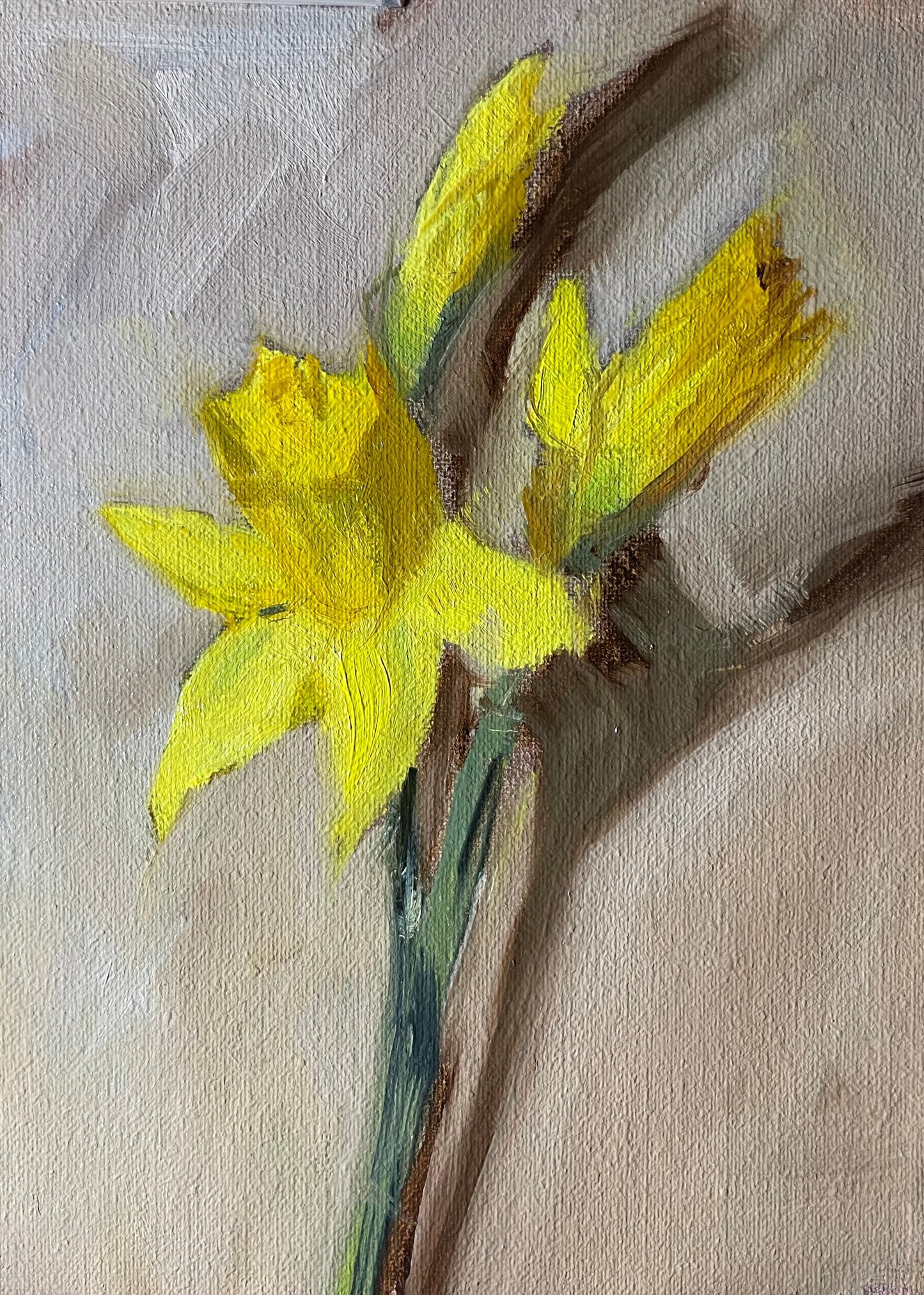 Daffodils in a glass jar