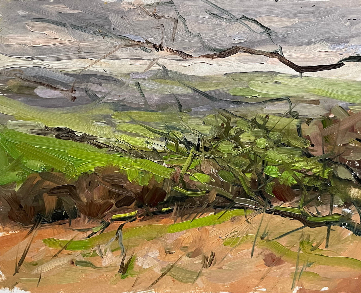 From llanbedr towards Ruthin