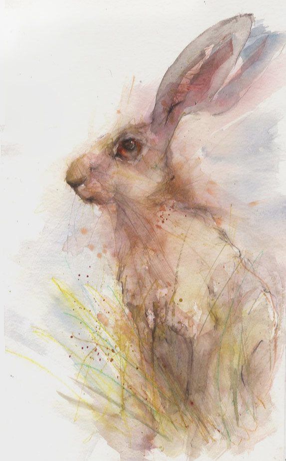 Original watercolour painting hare portrait "Jilly"