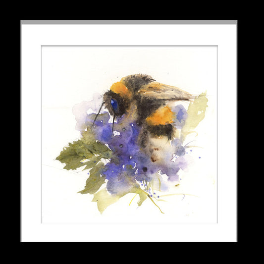 Bee on hydrangea flowers limited edition print