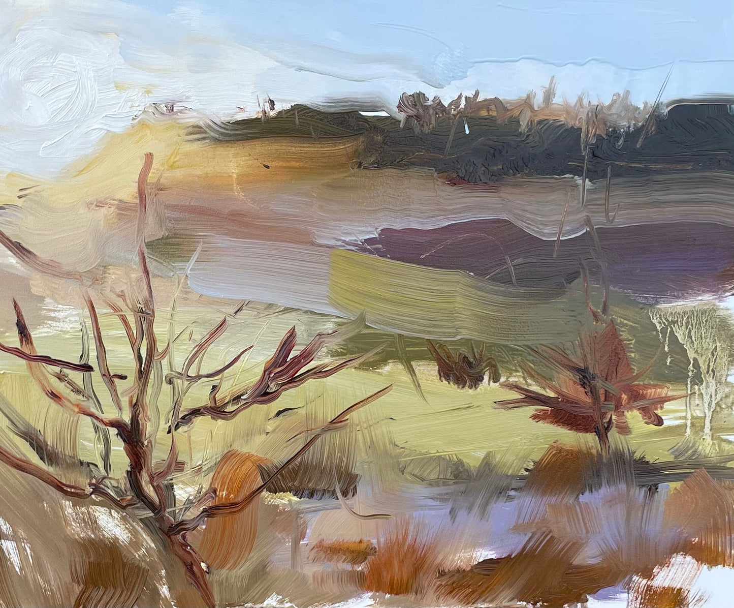 Delamere Forest sunrise