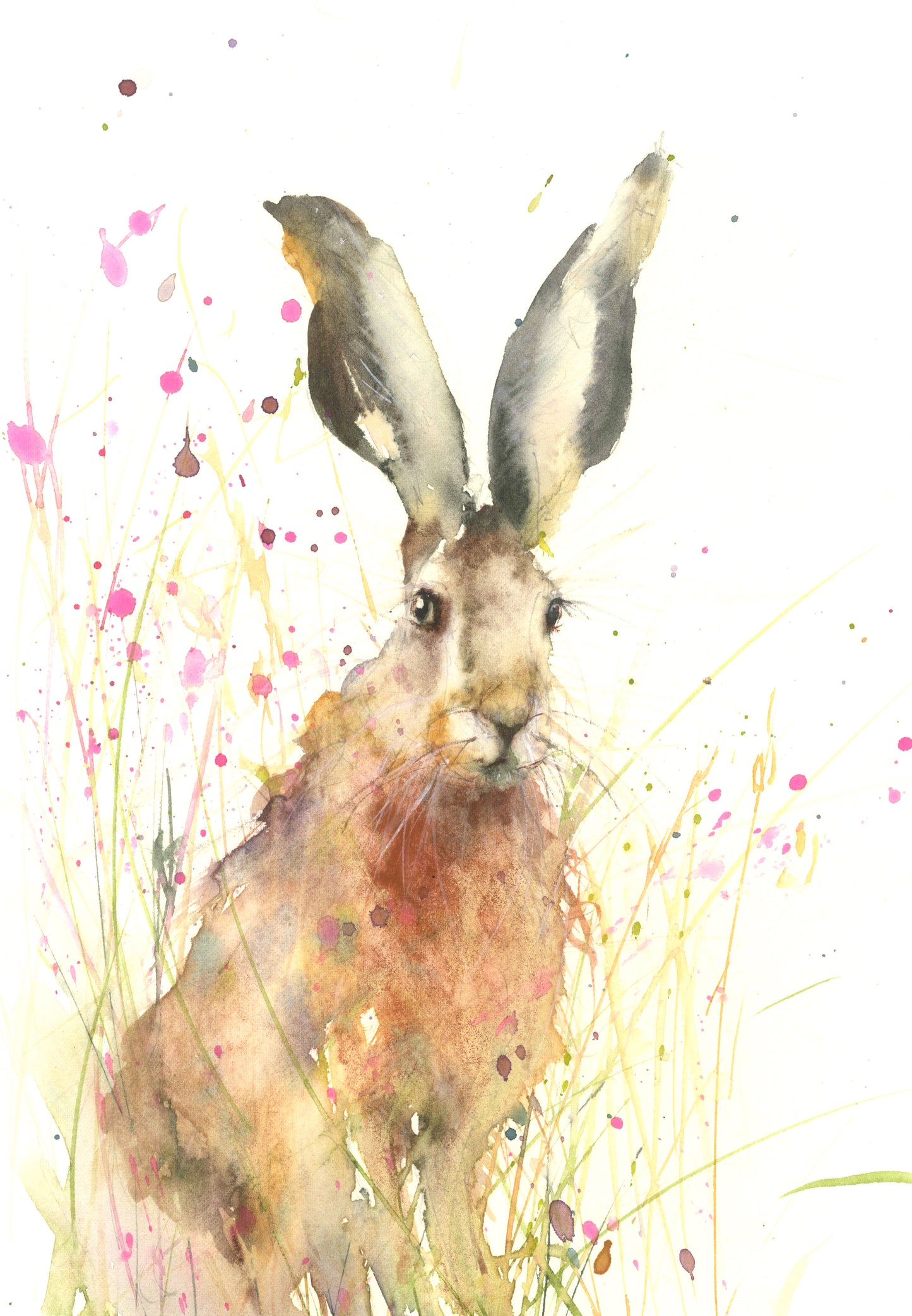 Jasper the hare limited edition print