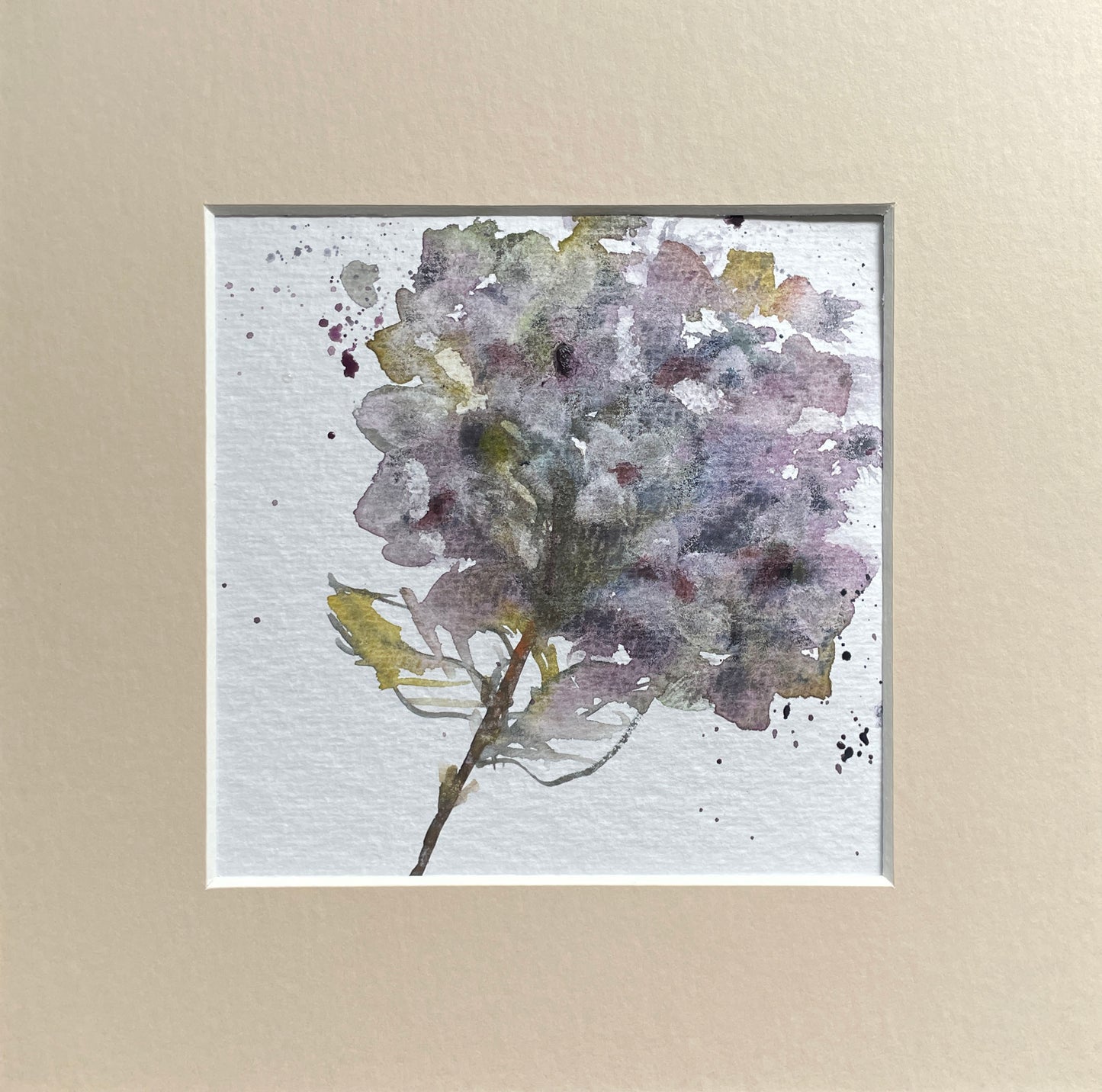 Original dried hydrangea watercolour painting with mount.