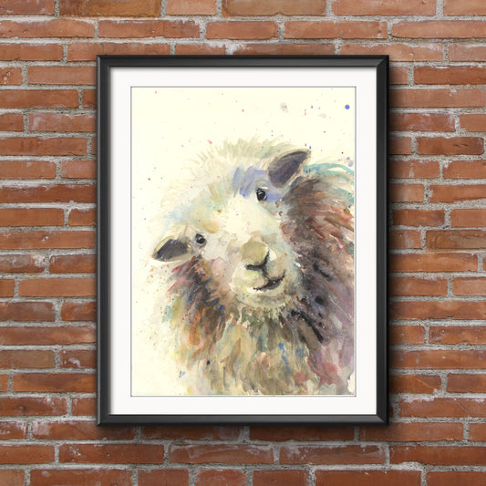 Original watercolour painting Herdwick sheep "Binky"