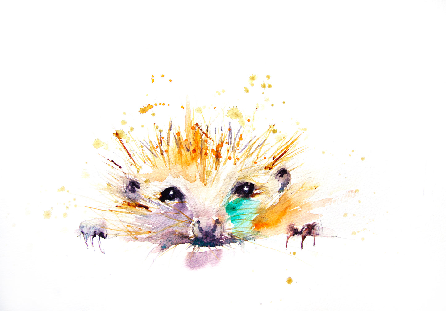 JEN BUCKLEY contemporary PRINT of my Original HEDGEHOG watercolour signed - Jen Buckley Art limited edition animal art prints