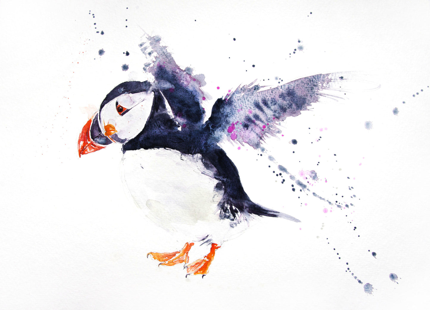 JEN BUCKLEY signed LIMITED EDITON PRINT of my original Puffin watercolour - Jen Buckley Art limited edition animal art prints