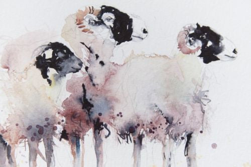 JEN BUCKLEY signed LIMITED EDITON PRINT of my original BLACK FACE SHEEP - Jen Buckley Art
- 3