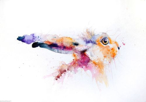 JEN BUCKLEY signed LIMITED EDITON PRINT of my original HARE - Jen Buckley Art limited edition animal art prints