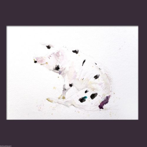 JEN BUCKLEY signed LIMITED EDITON PRINT of my original Pig watercolour - Jen Buckley Art limited edition animal art prints