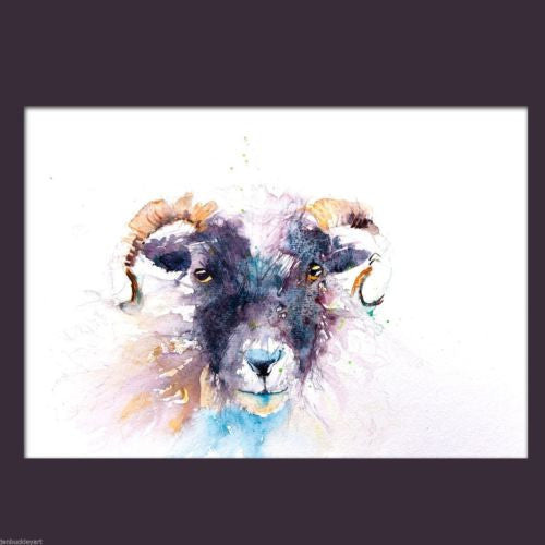 JEN BUCKLEY signed LIMITED EDITON PRINT of my SHEEP watercolour - Jen Buckley Art limited edition animal art prints