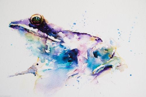 JEN BUCKLEY signed LIMITED EDITION PRINT of my original FROG watercolour - Jen Buckley Art limited edition animal art prints