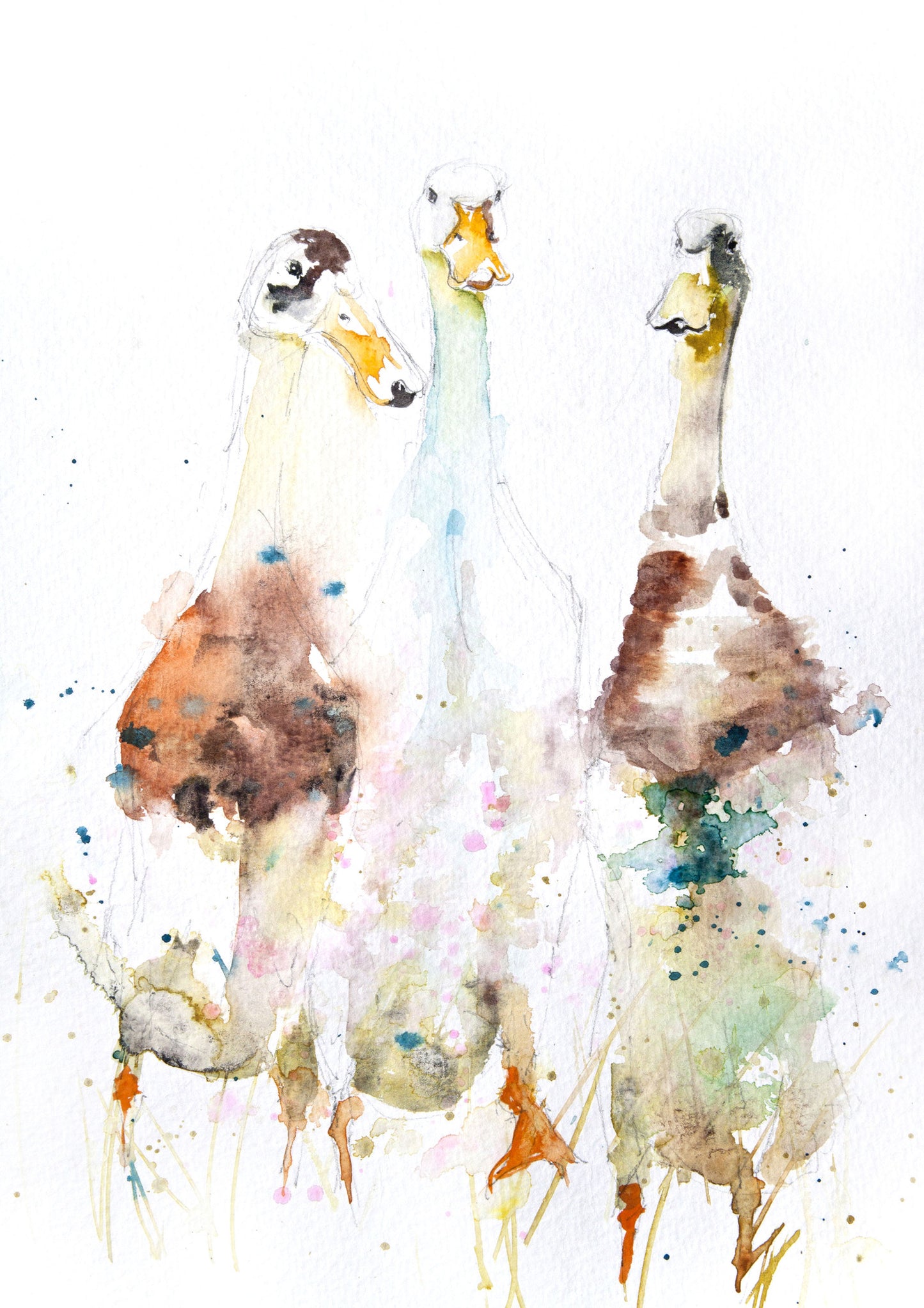 Signed PRINT of my original INDIAN runner DUCKS watercolour - Jen Buckley Art