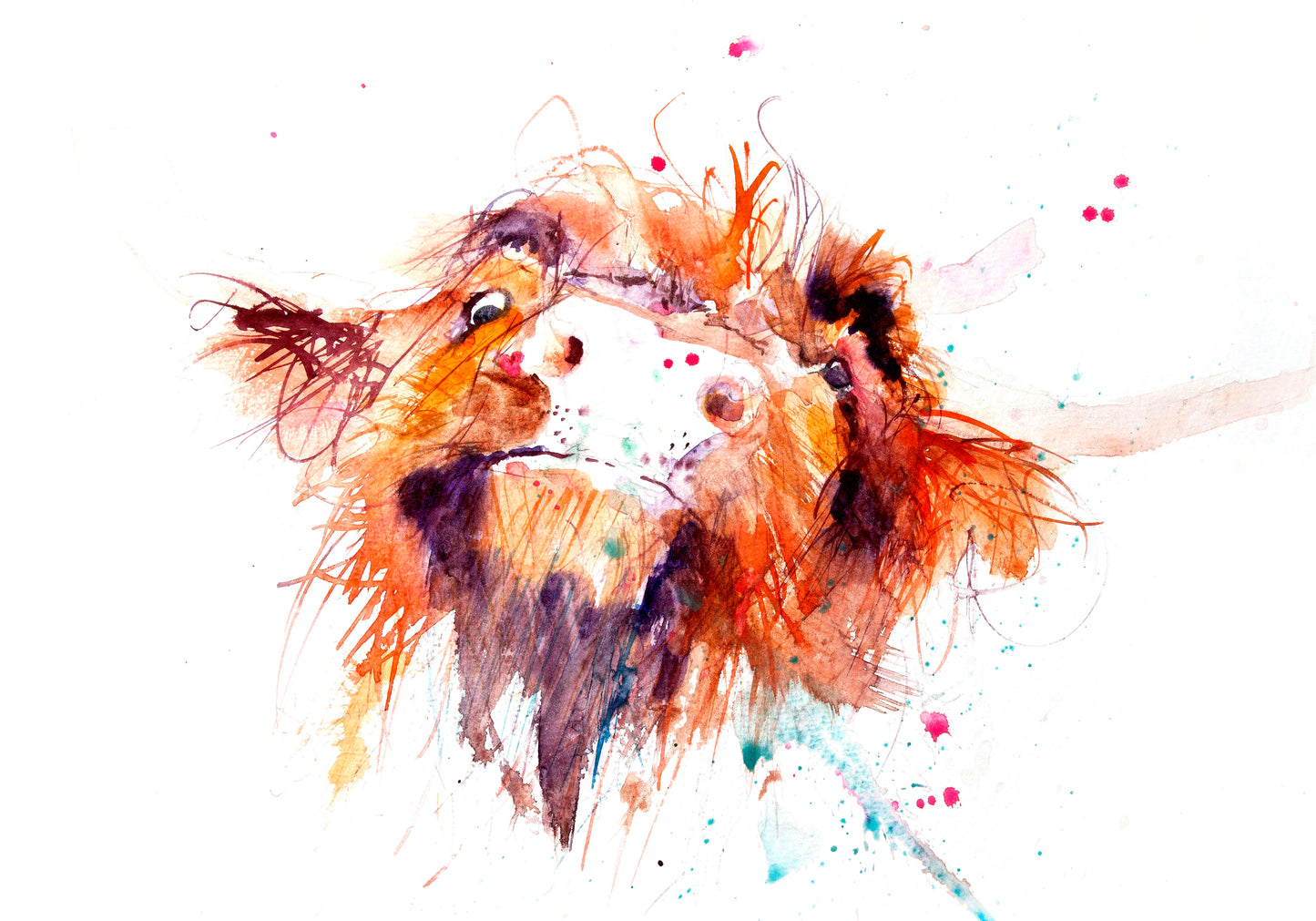 JEN BUCKLEY signed LIMITED EDITON PRINT 'Hairy Cow' - Jen Buckley Art limited edition animal art prints