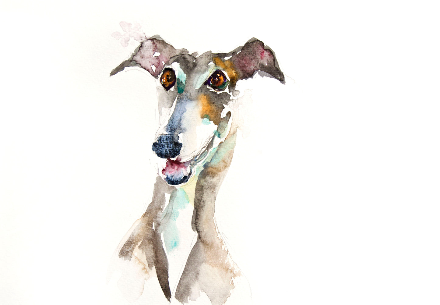 JEN BUCKLEY signed LIMITED EDITON PRINT 'Greyhound' - Jen Buckley Art limited edition animal art prints