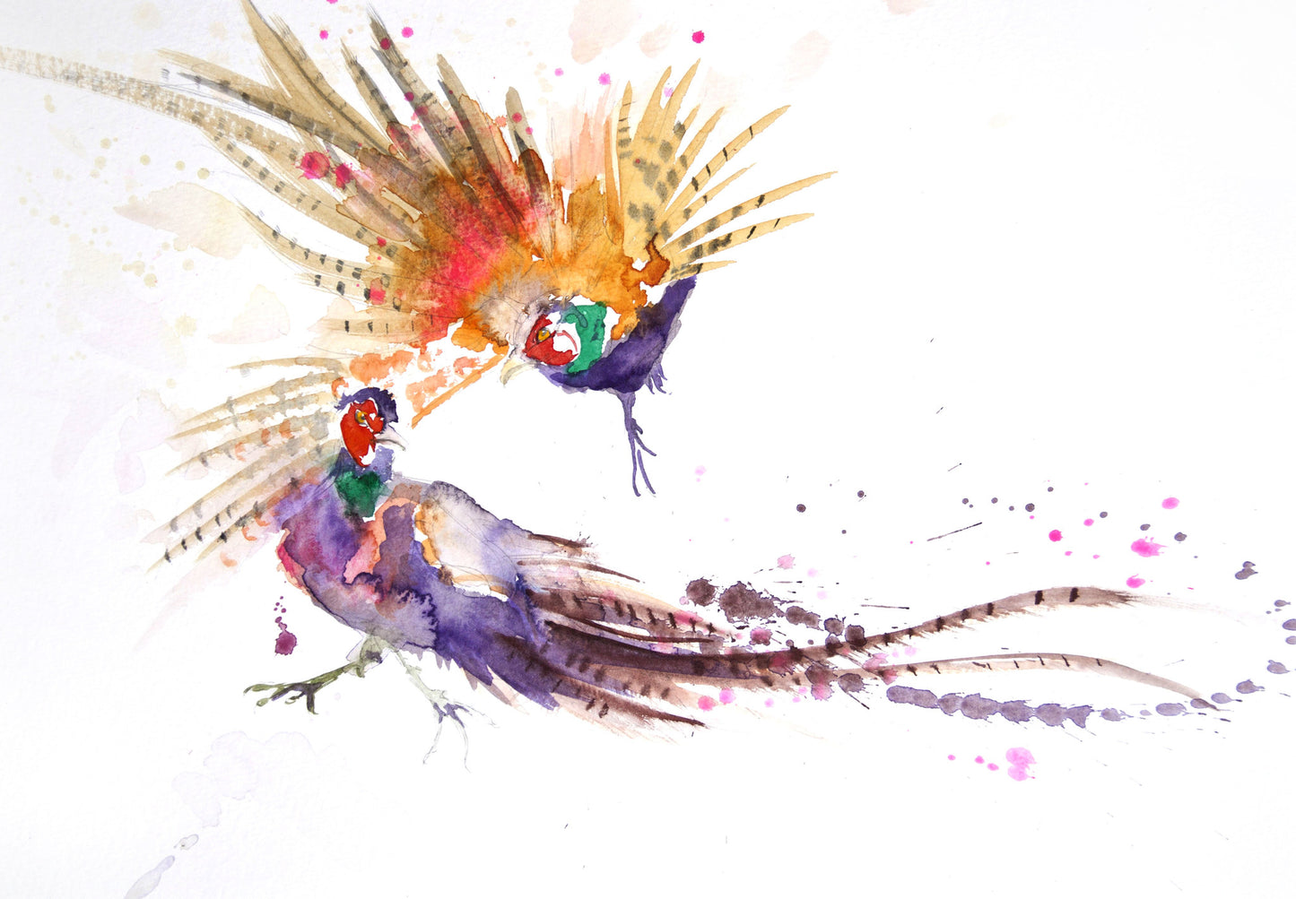 LIMITED EDITON PRINT of my original Pheasant watercolour - Jen Buckley Art limited edition animal art prints