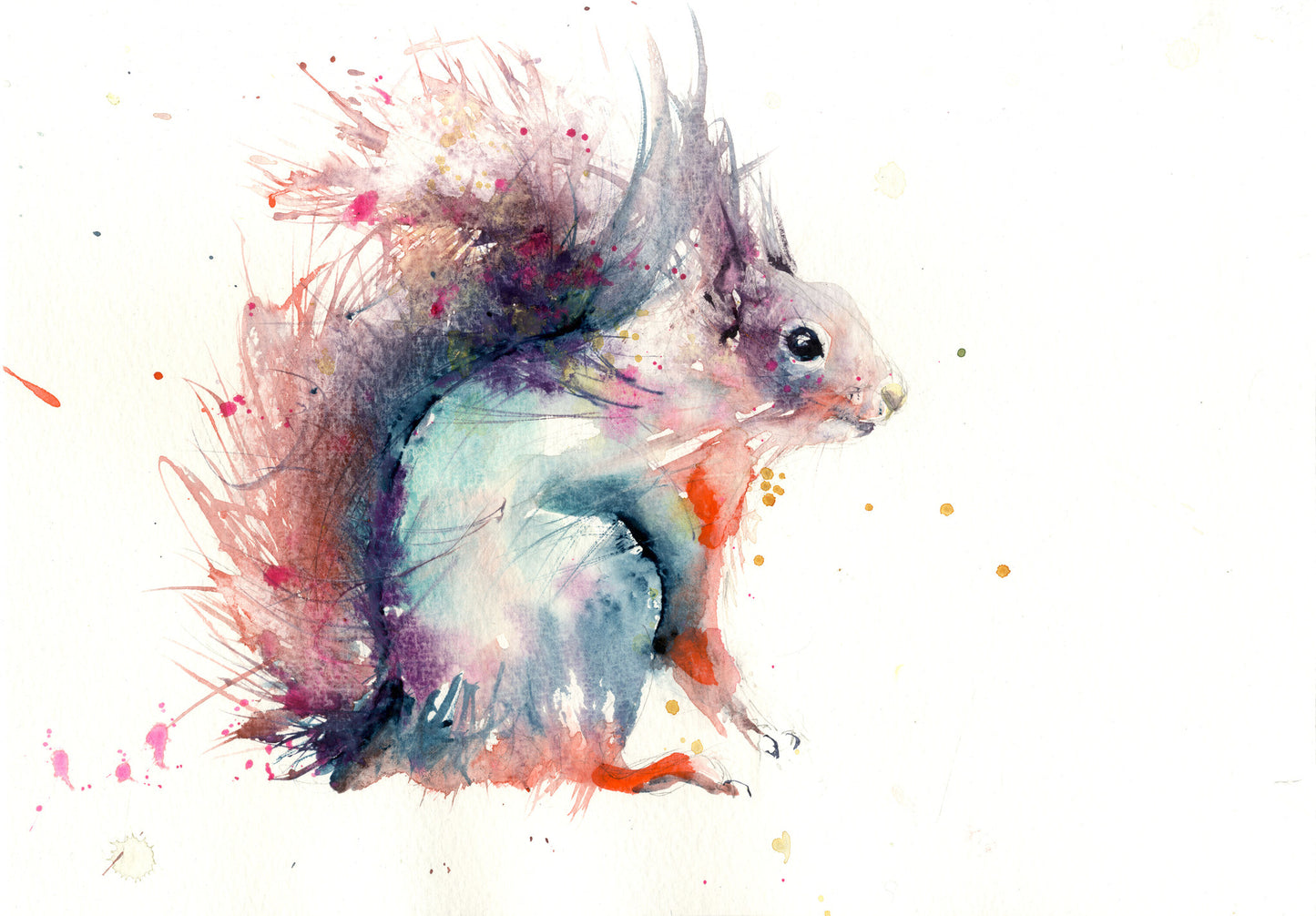 limited edition PRINT of my original RED SQUIRREL watercolour - Jen Buckley Art limited edition animal art prints