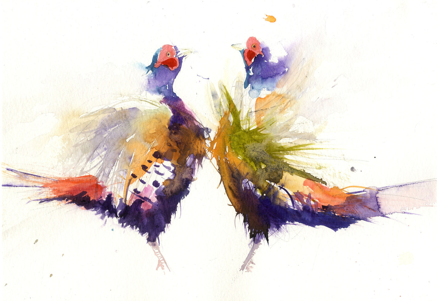 LIMITED EDITON Pheasant watercolour print - Jen Buckley Art limited edition animal art prints