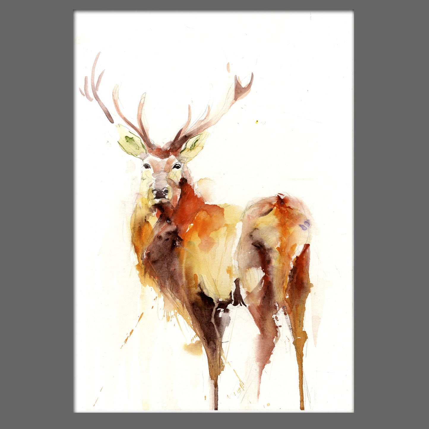 signed LIMITED EDITON PRINT of my original STAG - Jen Buckley Art limited edition animal art prints