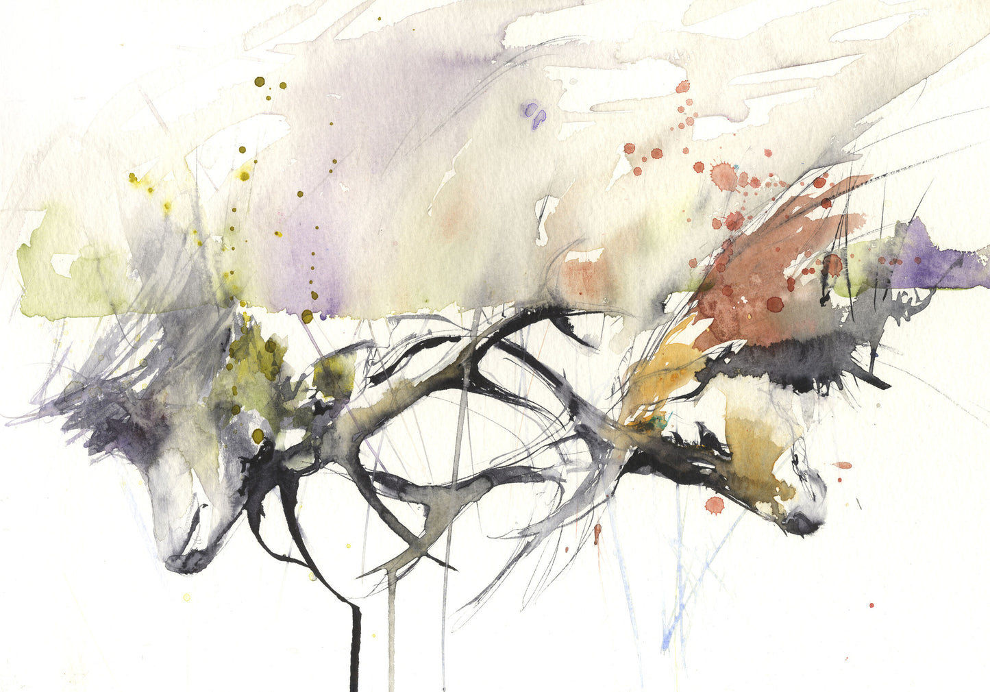 signed LIMITED EDITON PRINT 'Stag' - Jen Buckley Art limited edition animal art prints