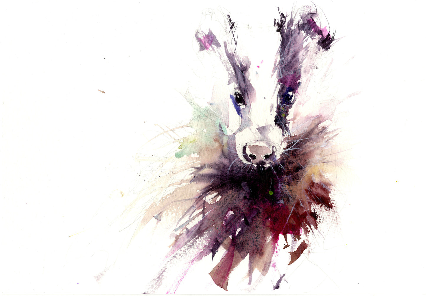 signed limited edition print - Badger - Jen Buckley Art limited edition animal art prints