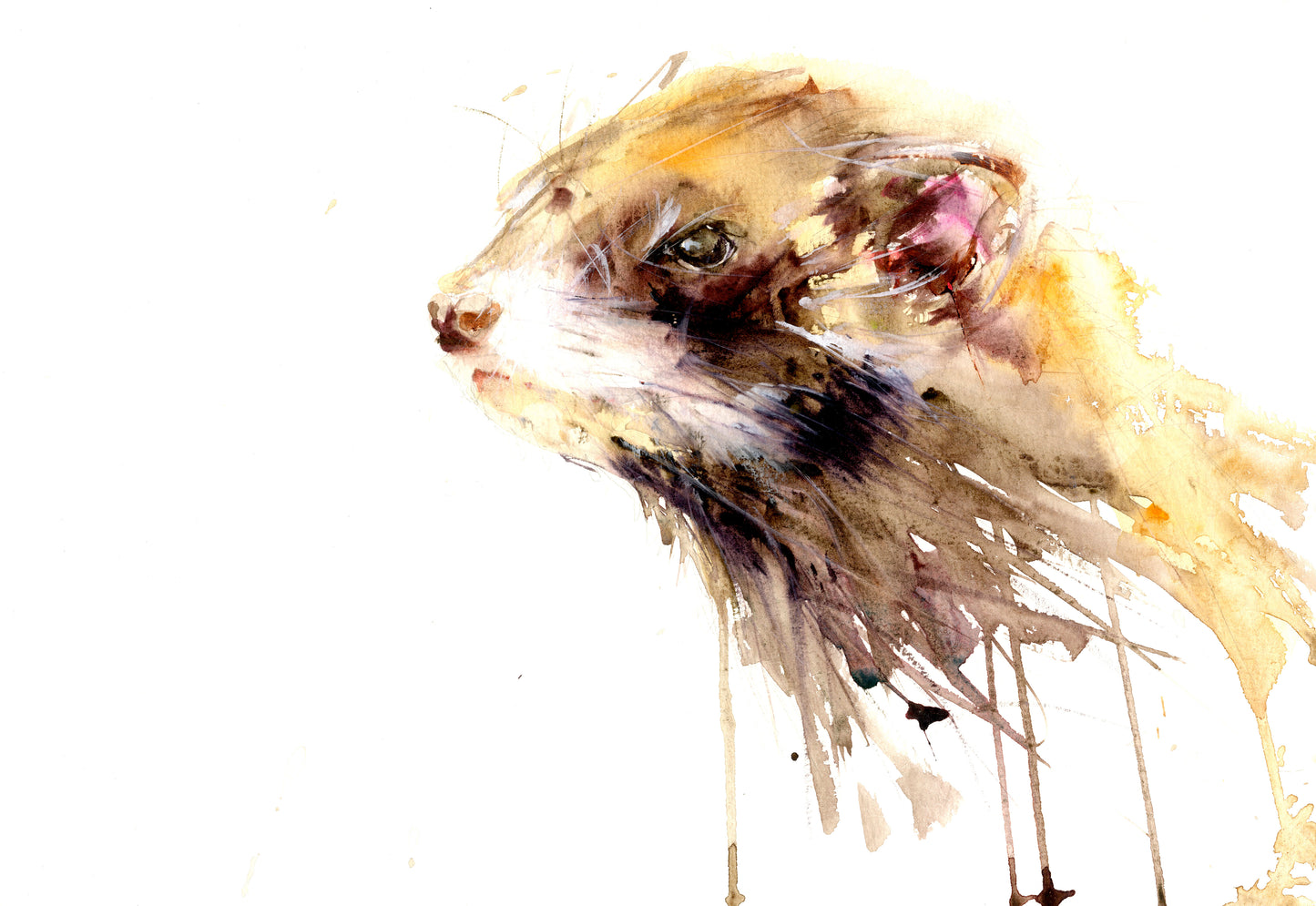 Pine marten "Archie" limited edition print - Jen Buckley Art limited edition animal art prints