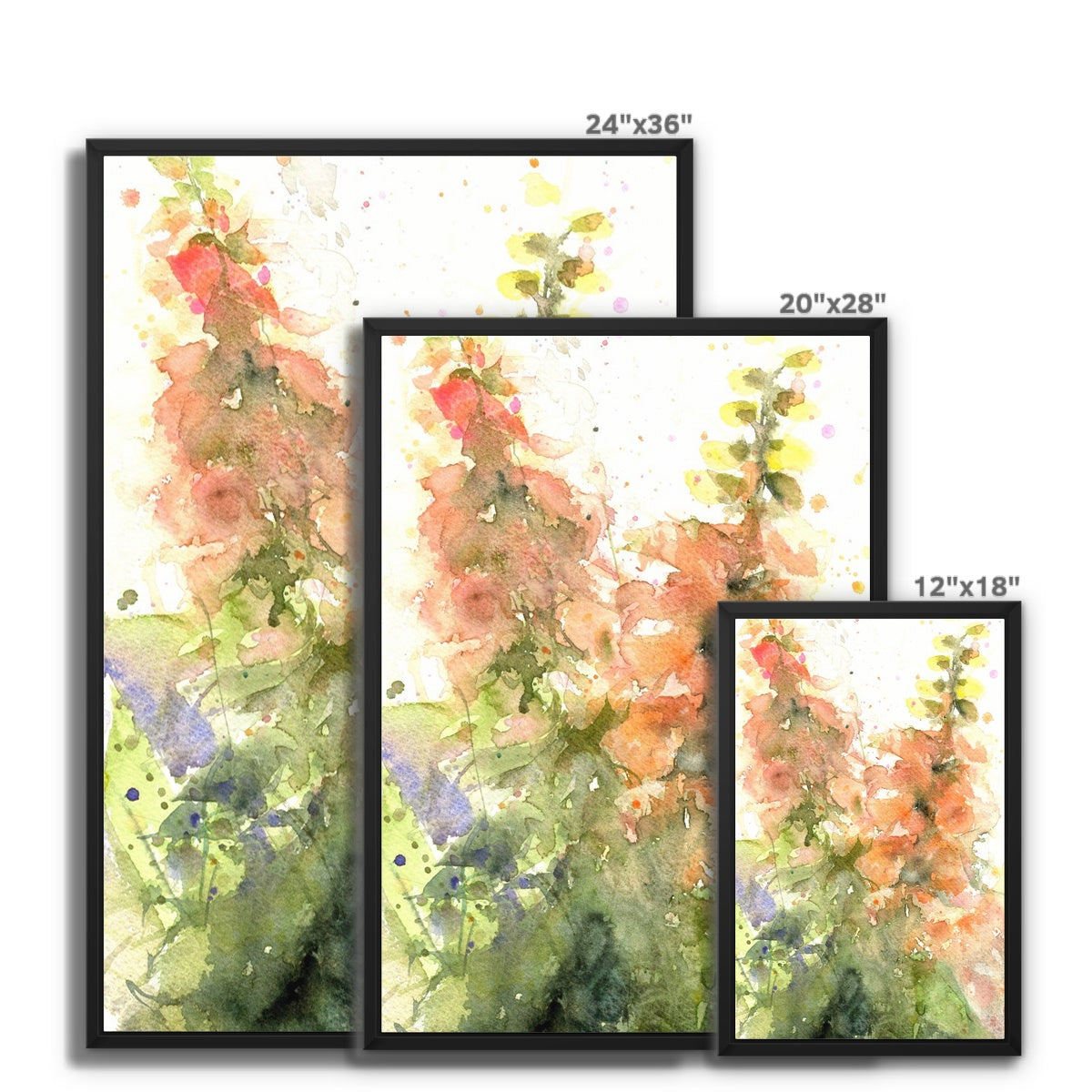 Peach foxgloves Framed Canvas - Jen Buckley Art limited edition animal art prints
