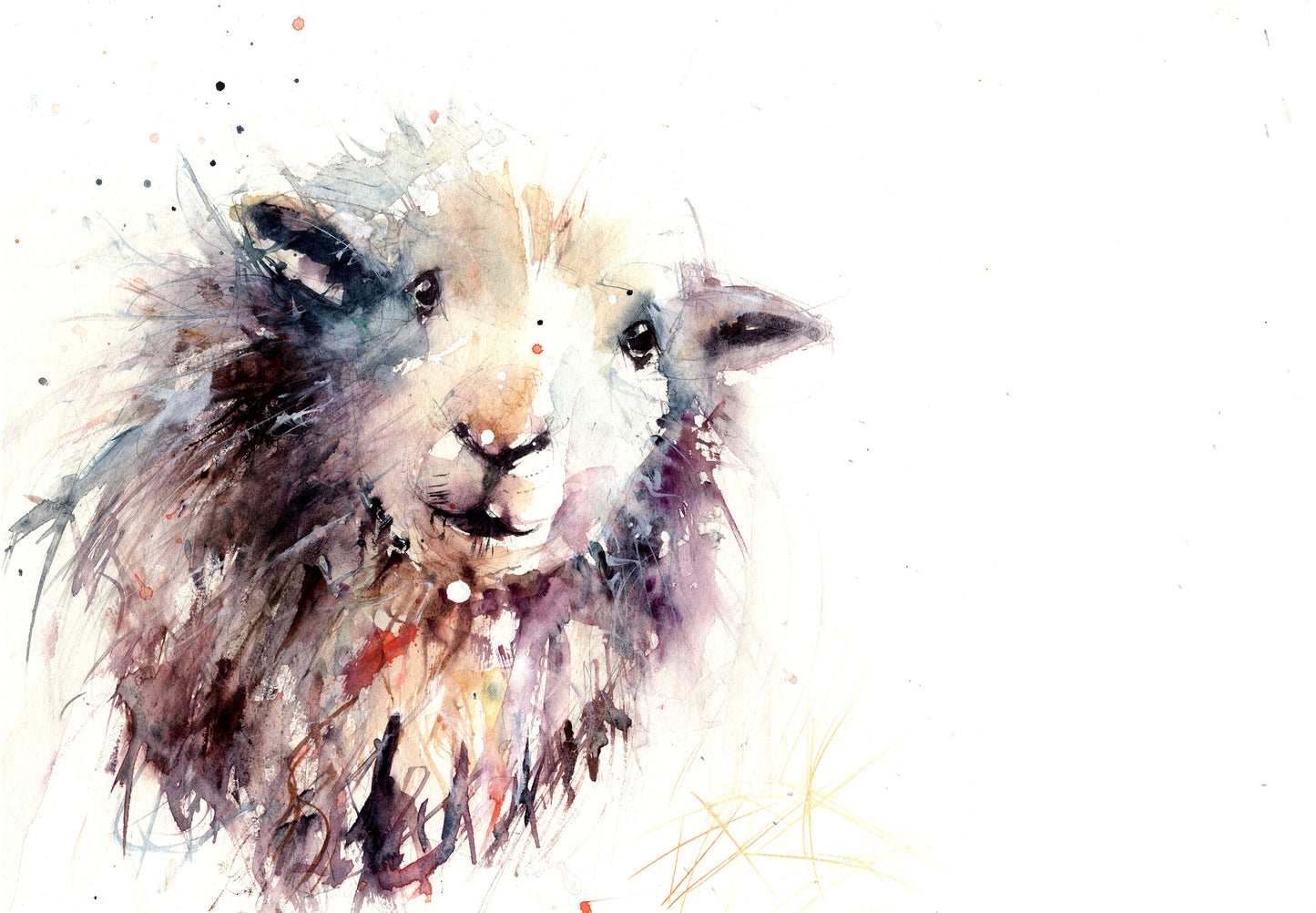 signed LIMITED EDITION PRINT of original Herdwick sheep painting - Jen Buckley Art limited edition animal art prints