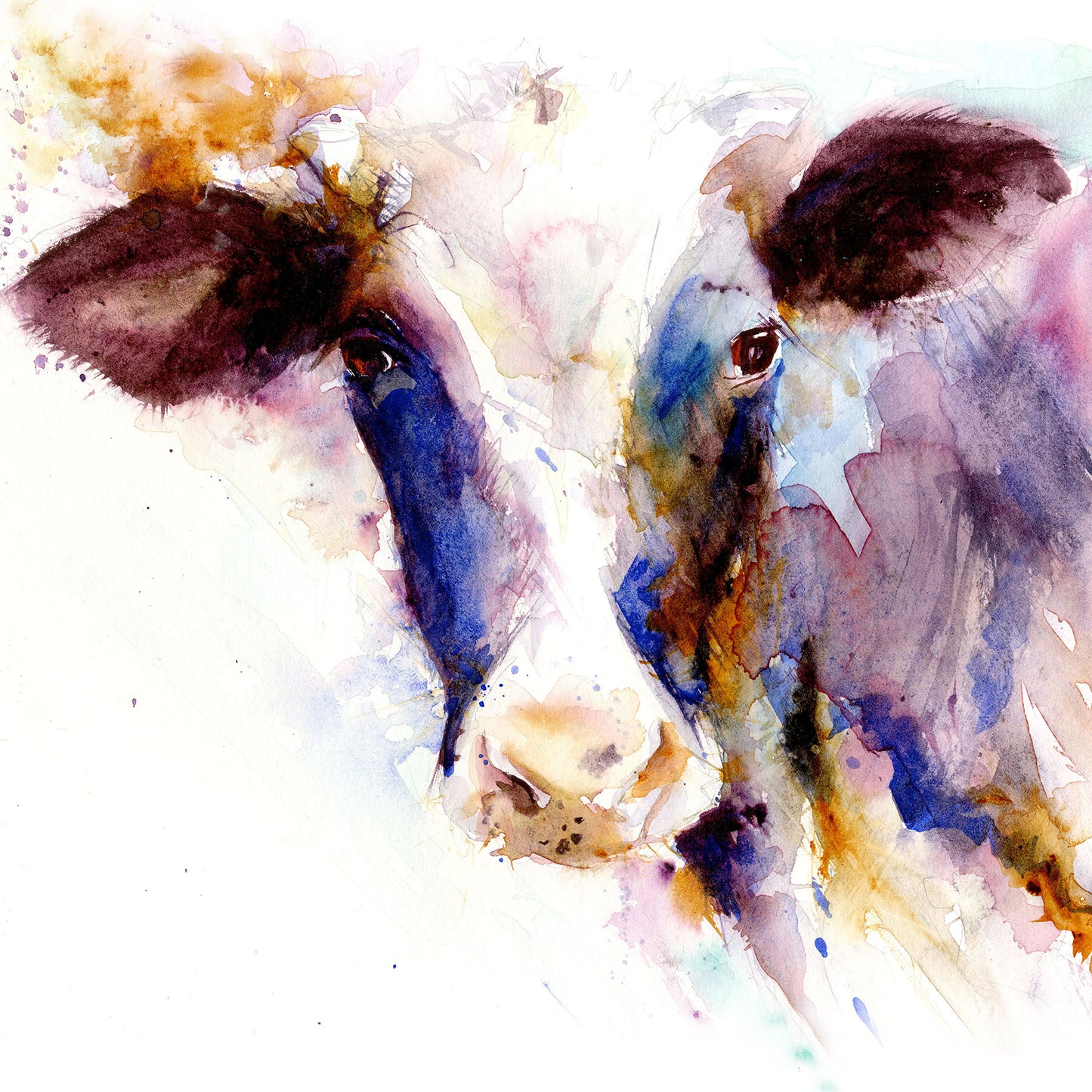 Signed limited edition print - Dairy cow - Jen Buckley Art limited edition animal art prints