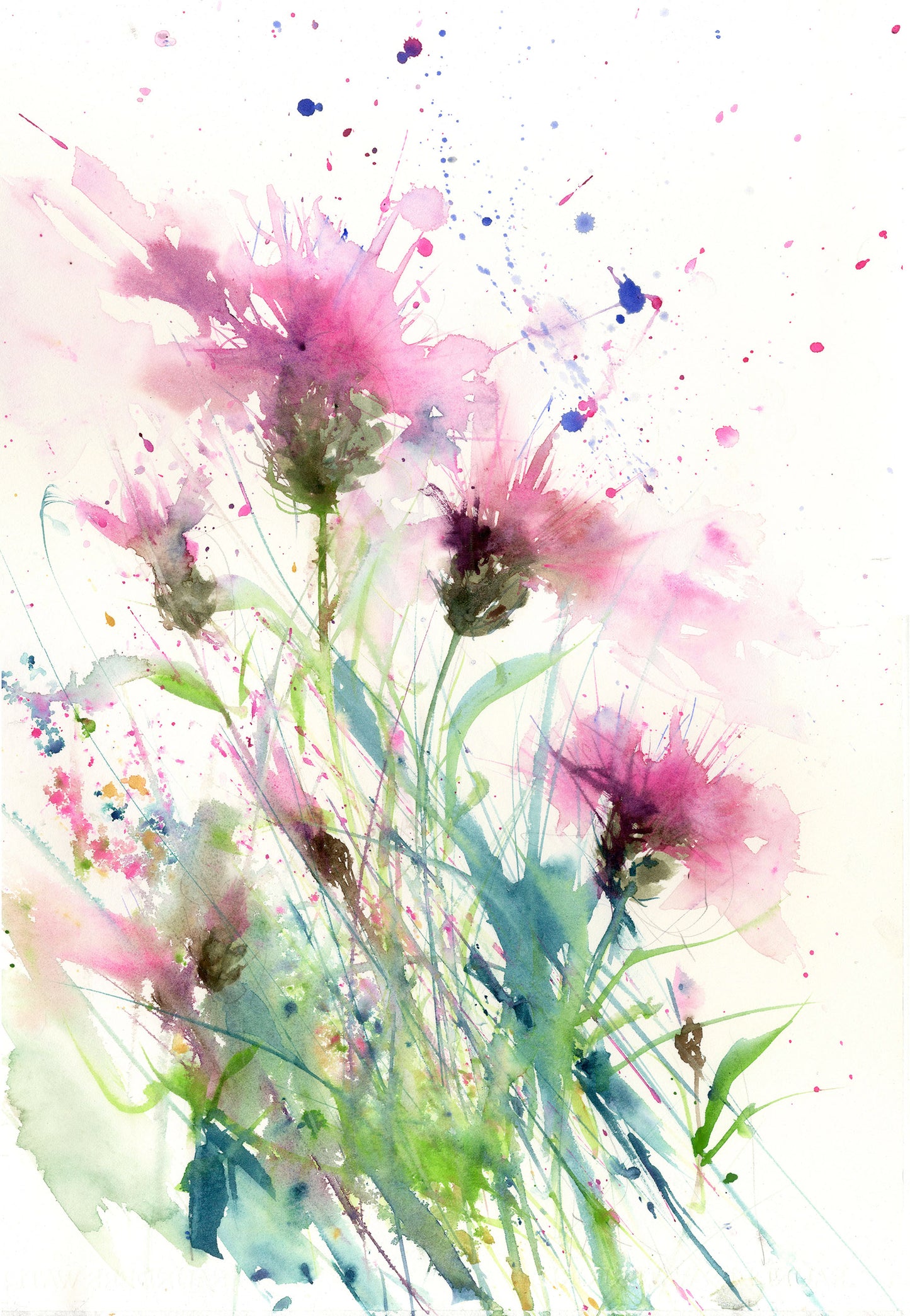 Limited edition print Knapweeds - Jen Buckley Art limited edition animal art prints