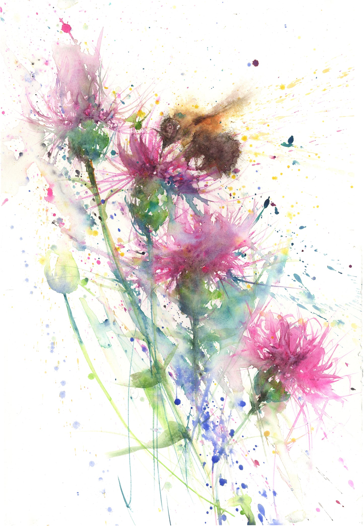 Limited edition print " Bee on a knapweed/thistle" - Jen Buckley Art limited edition animal art prints