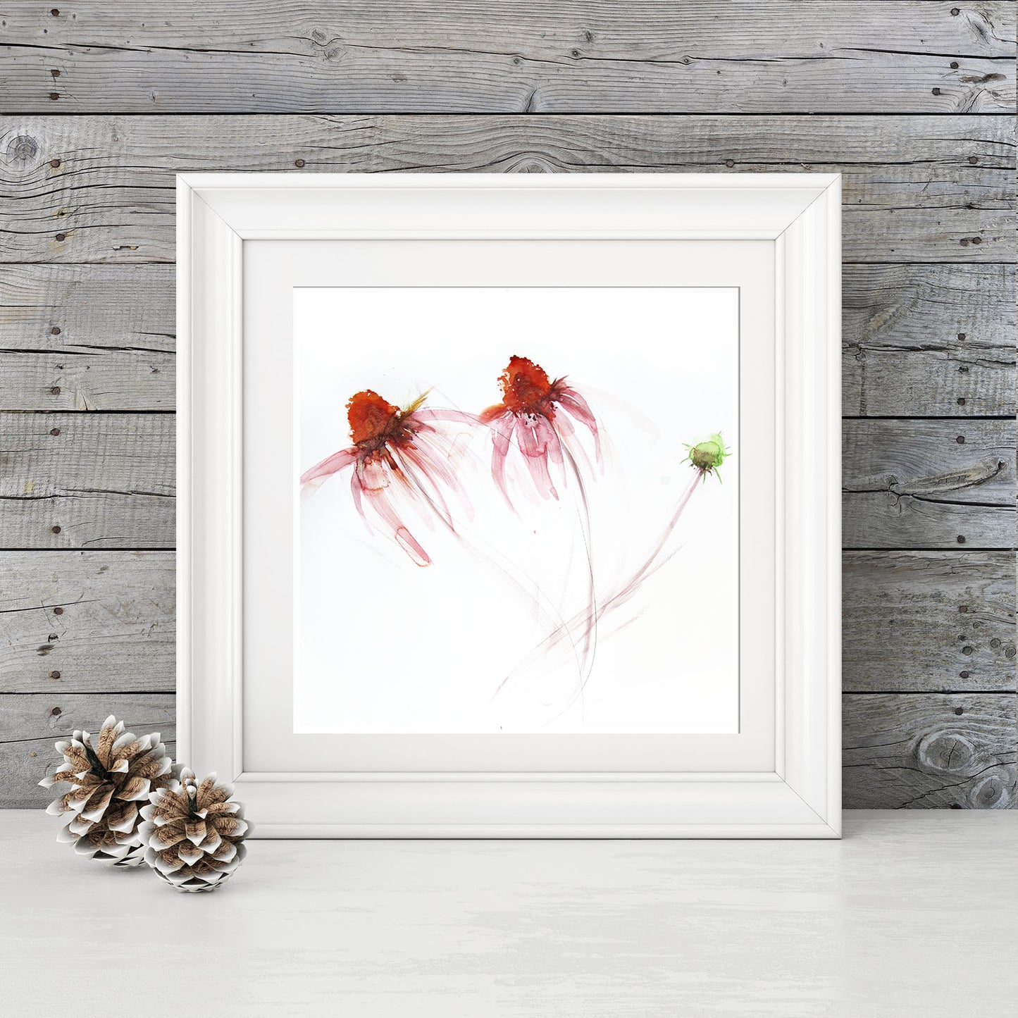 Contemporary floral art print from original watercolour "Echinaea" - Jen Buckley Art limited edition animal art prints