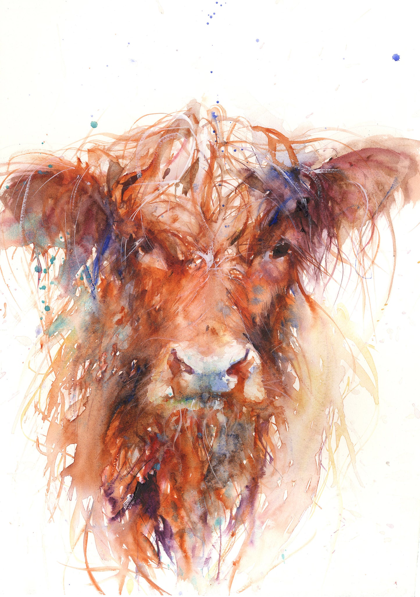 Highland Cow limited edition print - Jen Buckley Art limited edition animal art prints