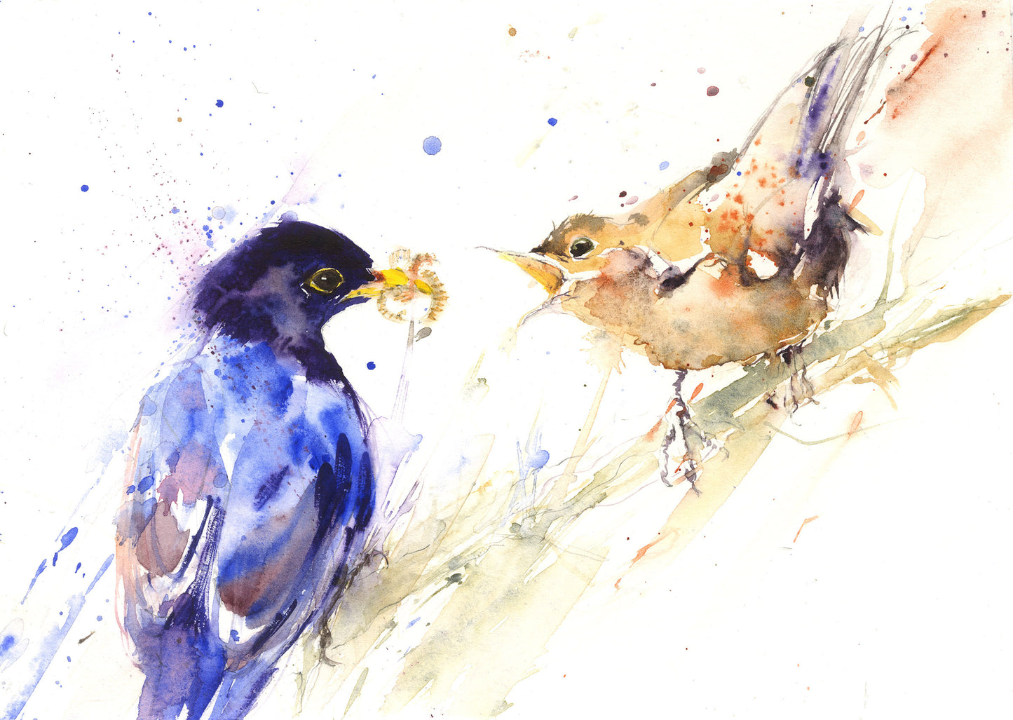 Blackbirds feeding limited edition art print - Jen Buckley Art limited edition animal art prints