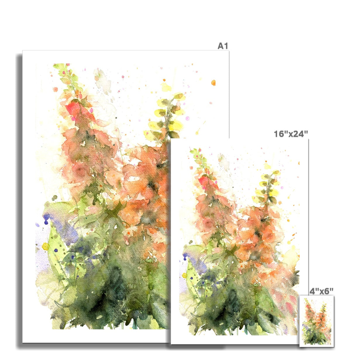 Peach foxgloves Fine Art Print - Jen Buckley Art limited edition animal art prints