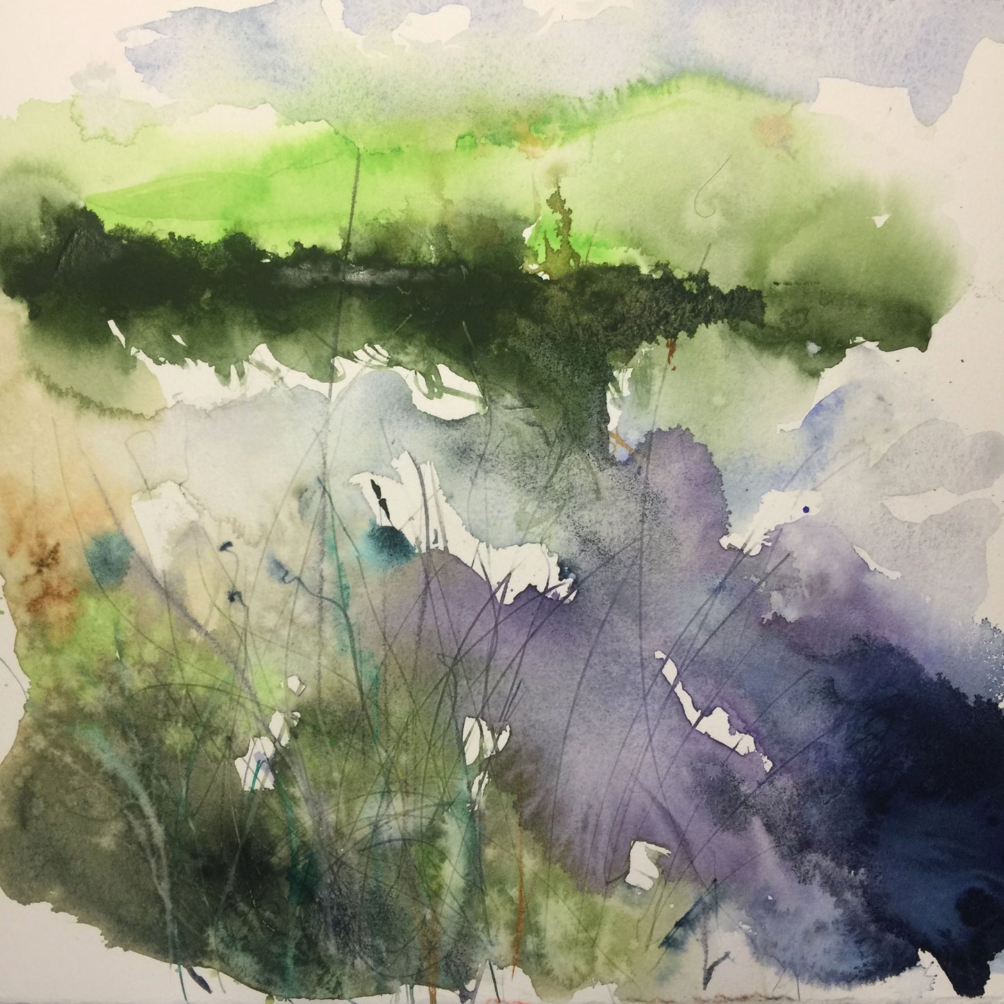 Original watercolour painting "Reflections" - Jen Buckley Art limited edition animal art prints