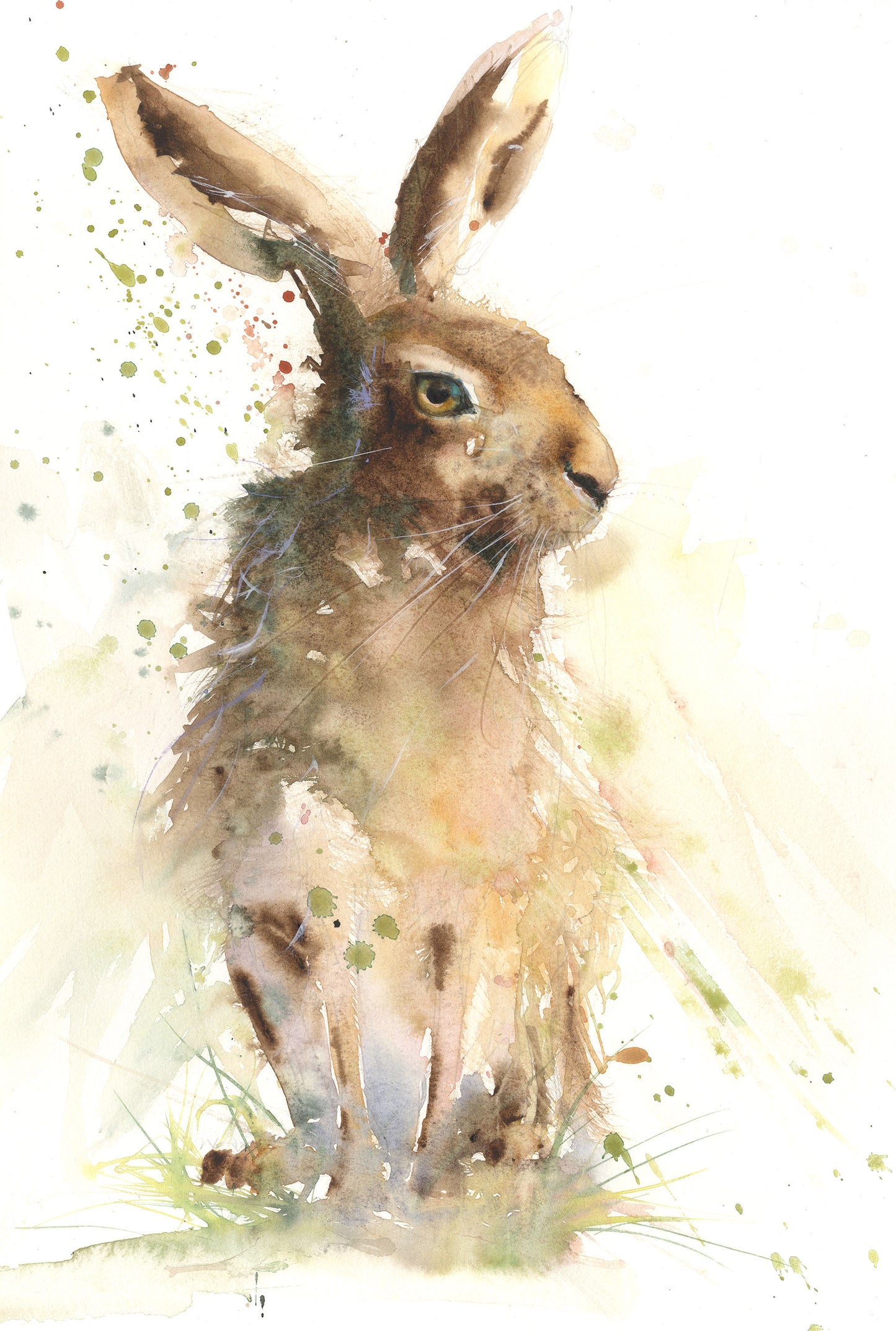Original hare watercolour painting "Archie"