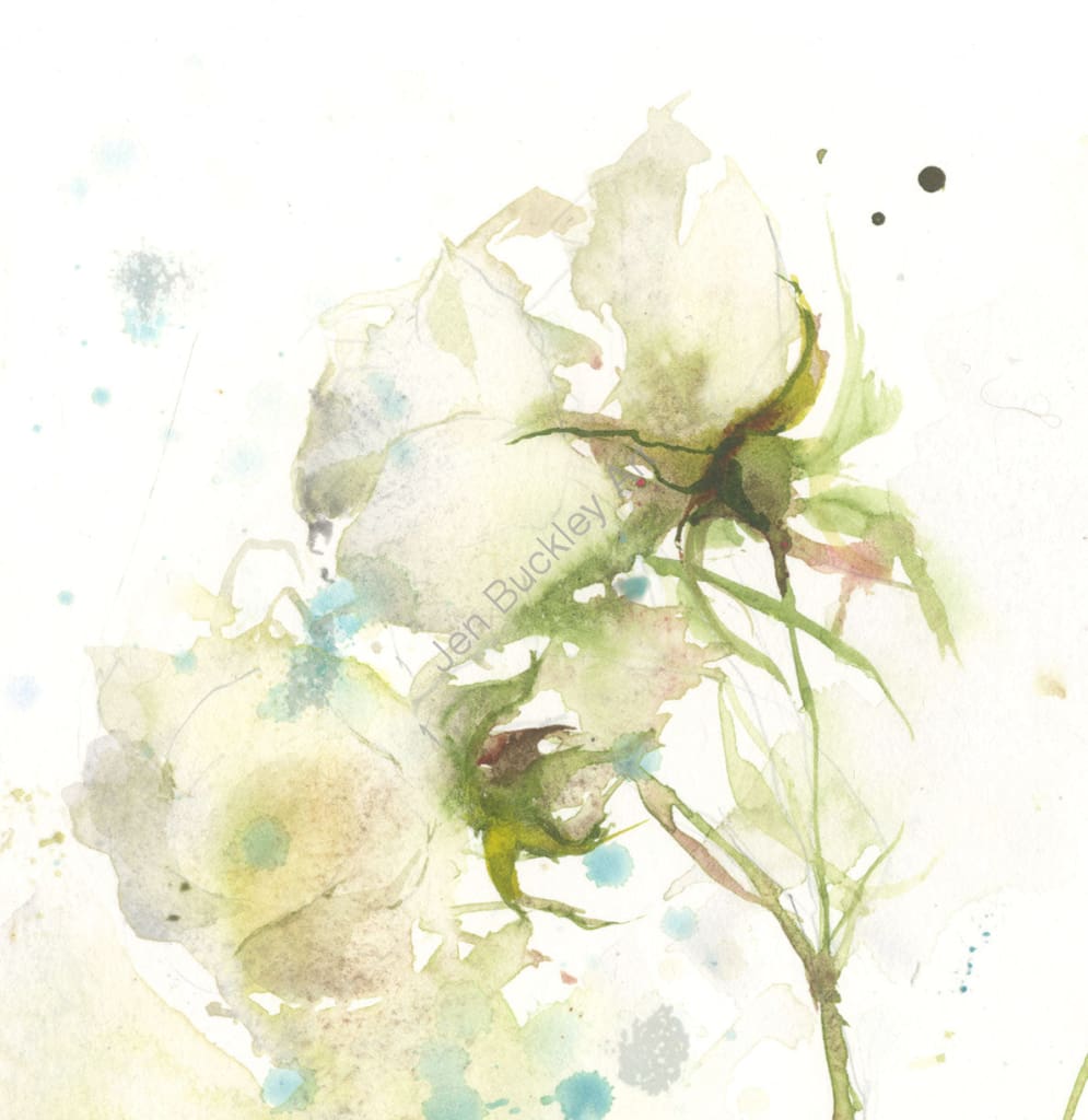 Beautiful White Rose Watercolour Painting Original