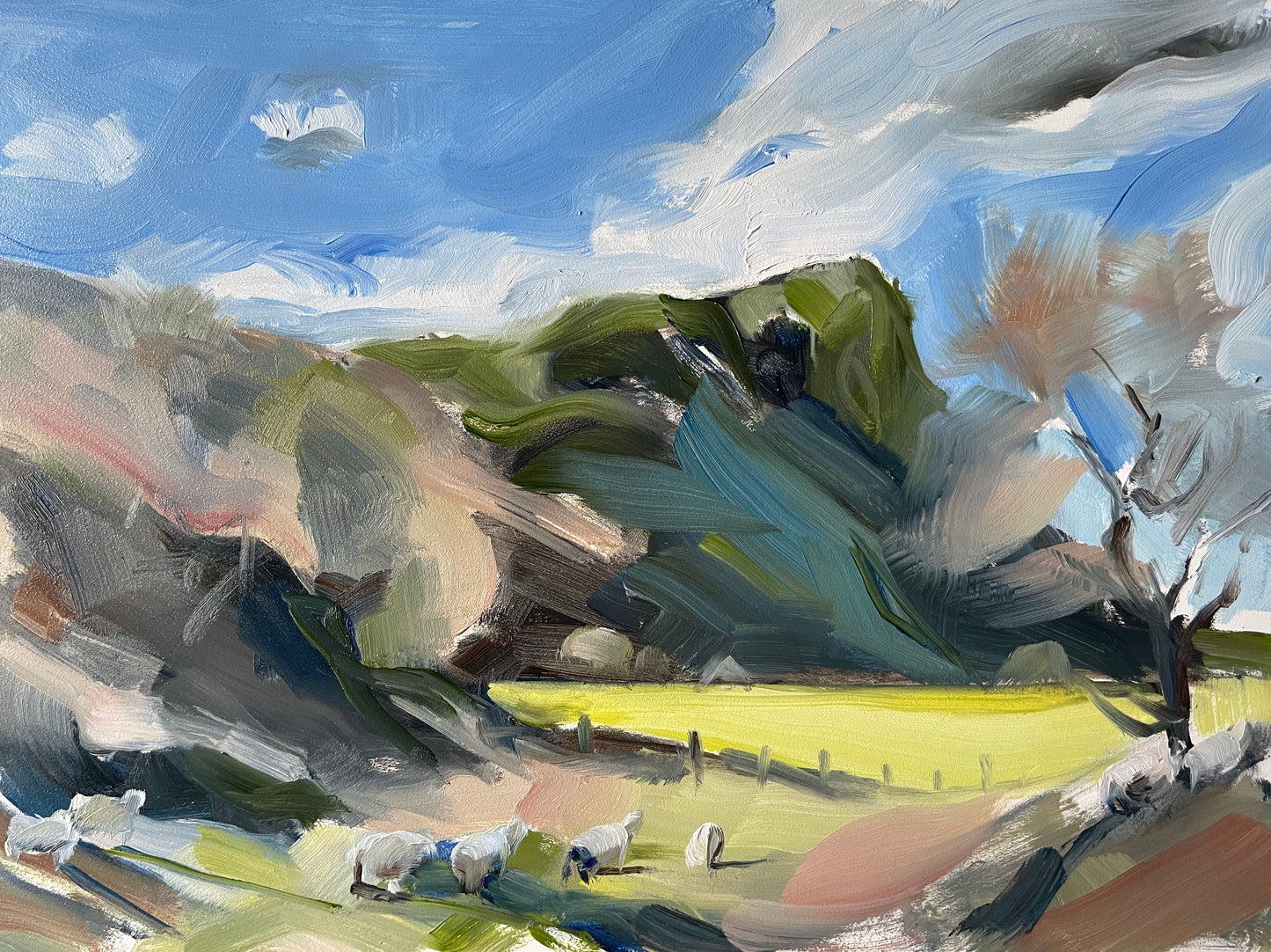 Craig yr Aderyn (Bird Rock), Wales