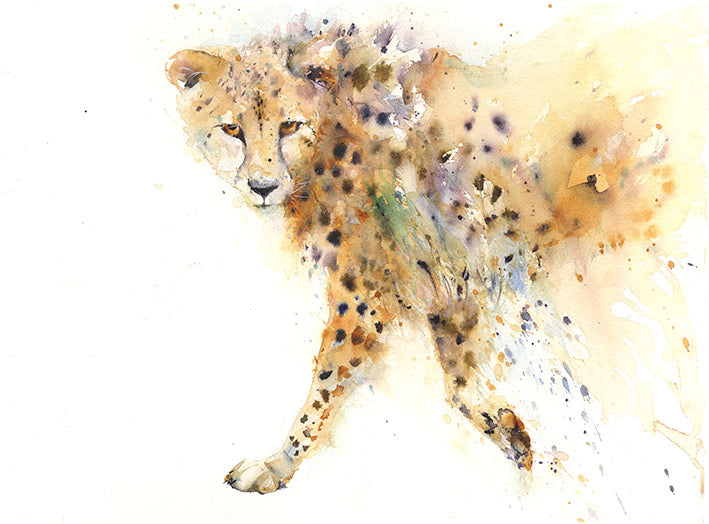Cheetah limited edition art print by Jen Buckley