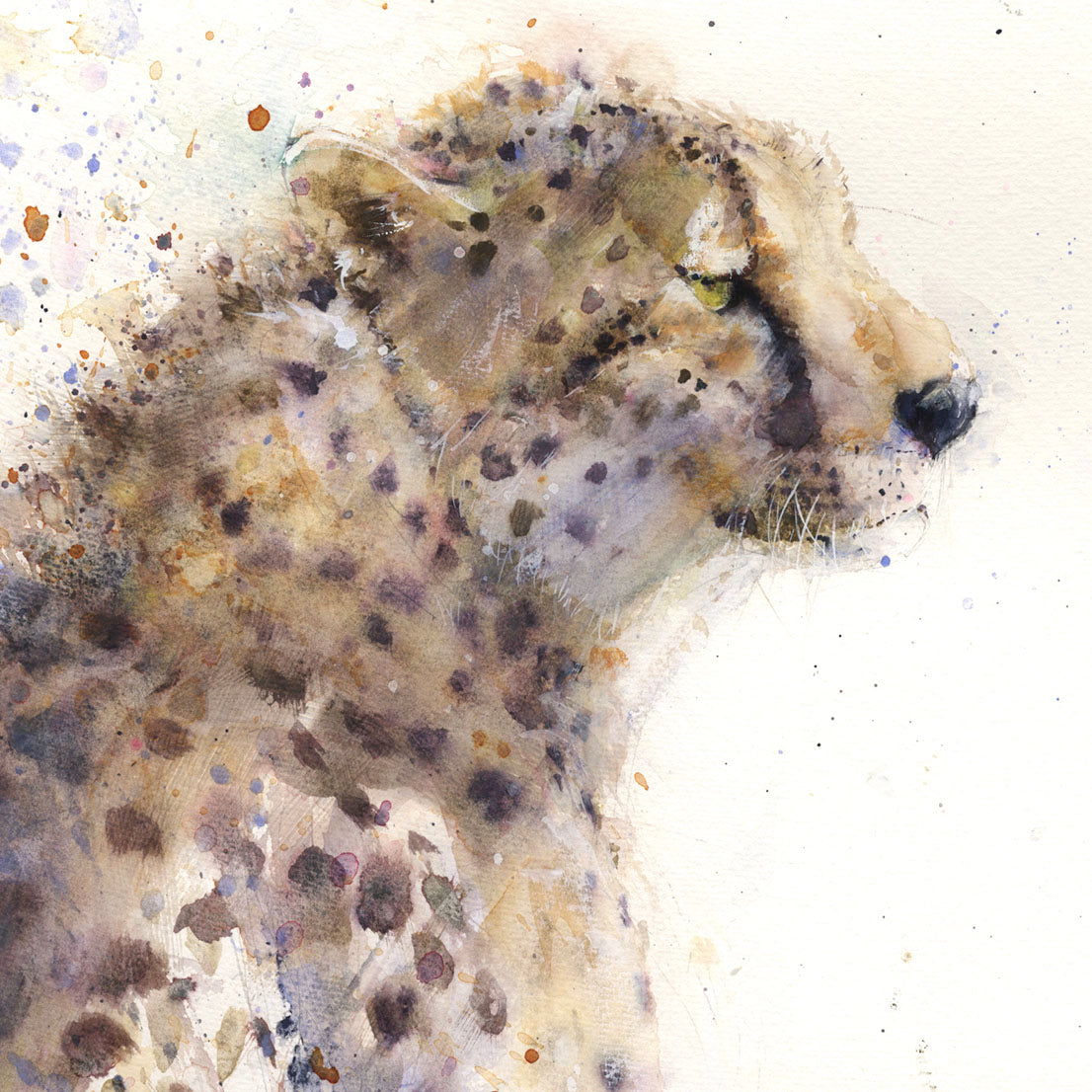 Original cheetah watercolour painting "Matrah" - Jen Buckley Art limited edition animal art prints