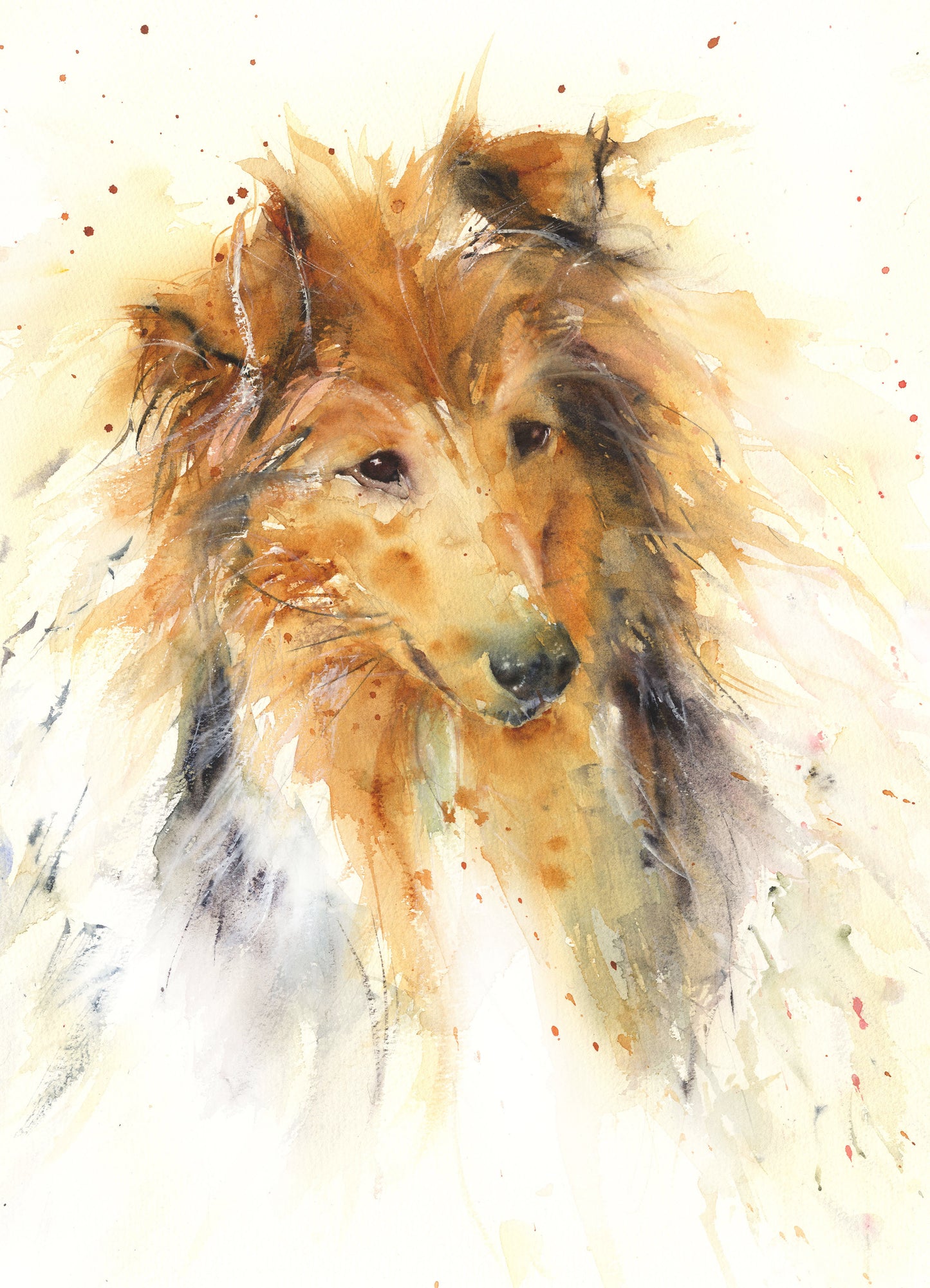 Original watercolour painting Rough collie - Jen Buckley Art limited edition animal art prints