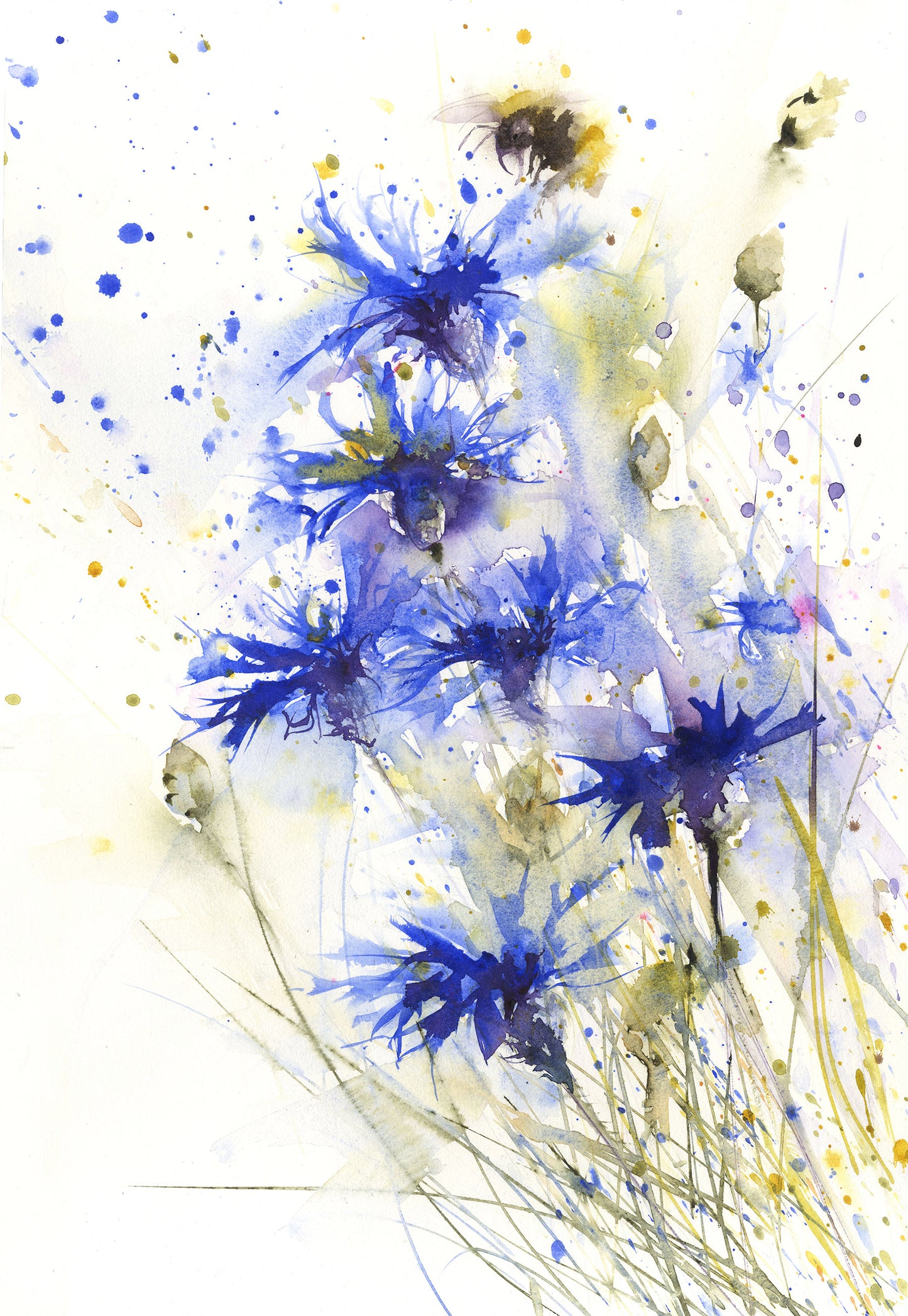 LIMITED EDITON PRINT of my original Bumble bee on a cornflower - Jen Buckley Art limited edition animal art prints