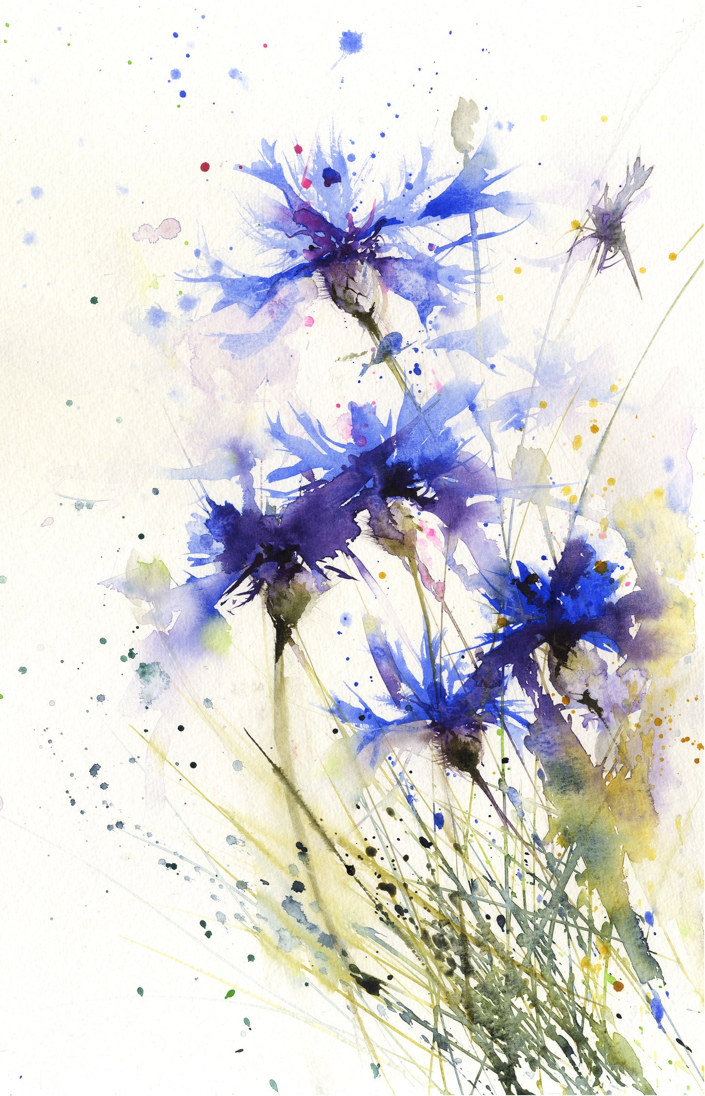 LIMITED EDITON PRINT "cornflower" - Jen Buckley Art limited edition animal art prints