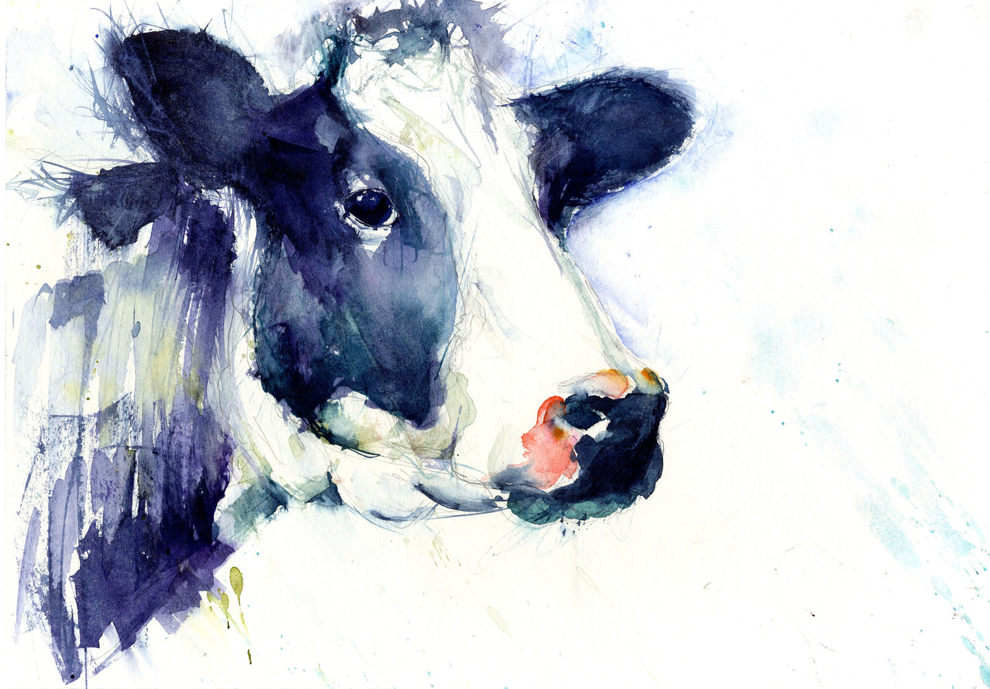 Limited edition cow print by Jen Buckley