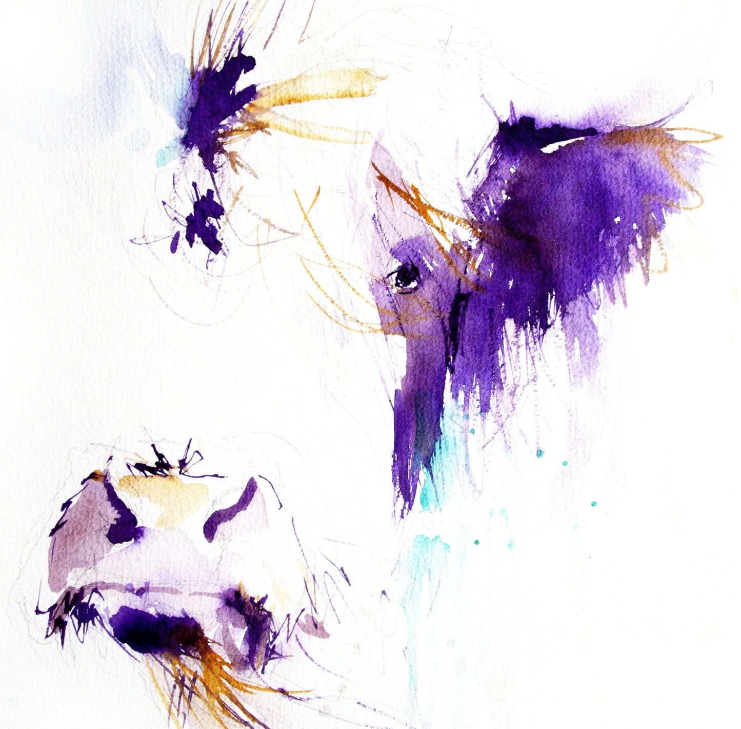 JEN BUCKLEY signed PRINT of my original HIGHLAND COW watercolour - Jen Buckley Art limited edition animal art prints