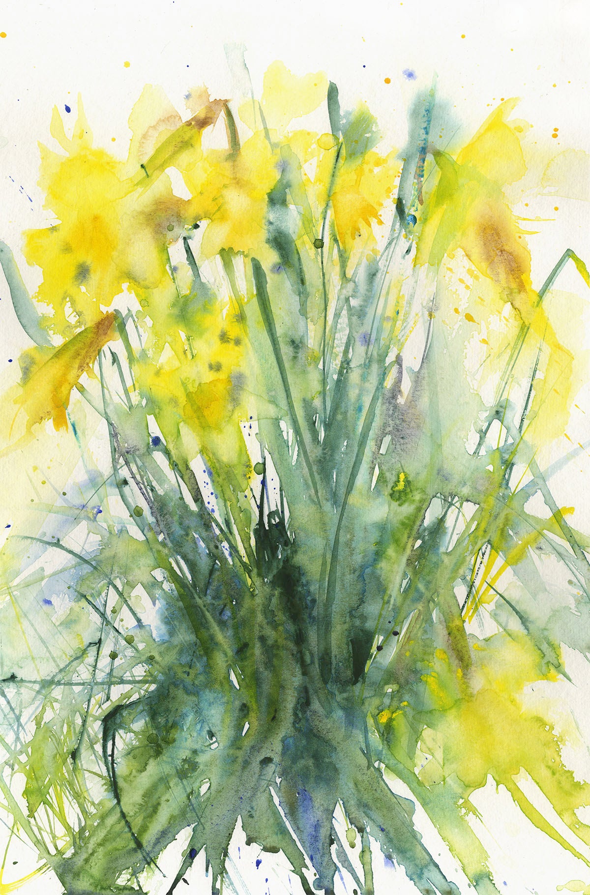 Contemporary floral art print from original watercolour "daffodils" - Jen Buckley Art limited edition animal art prints