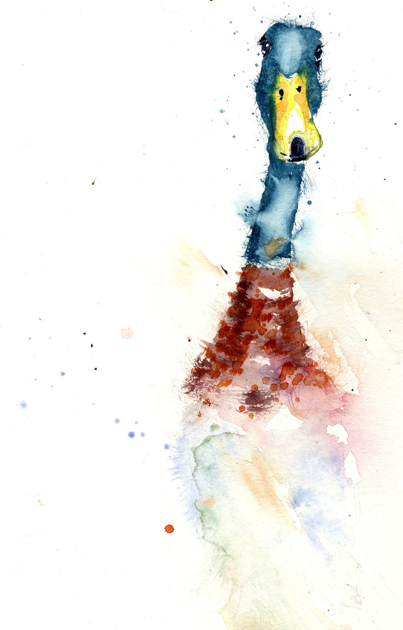 limited edition print Indian runner DUCK - Jen Buckley Art limited edition animal art prints