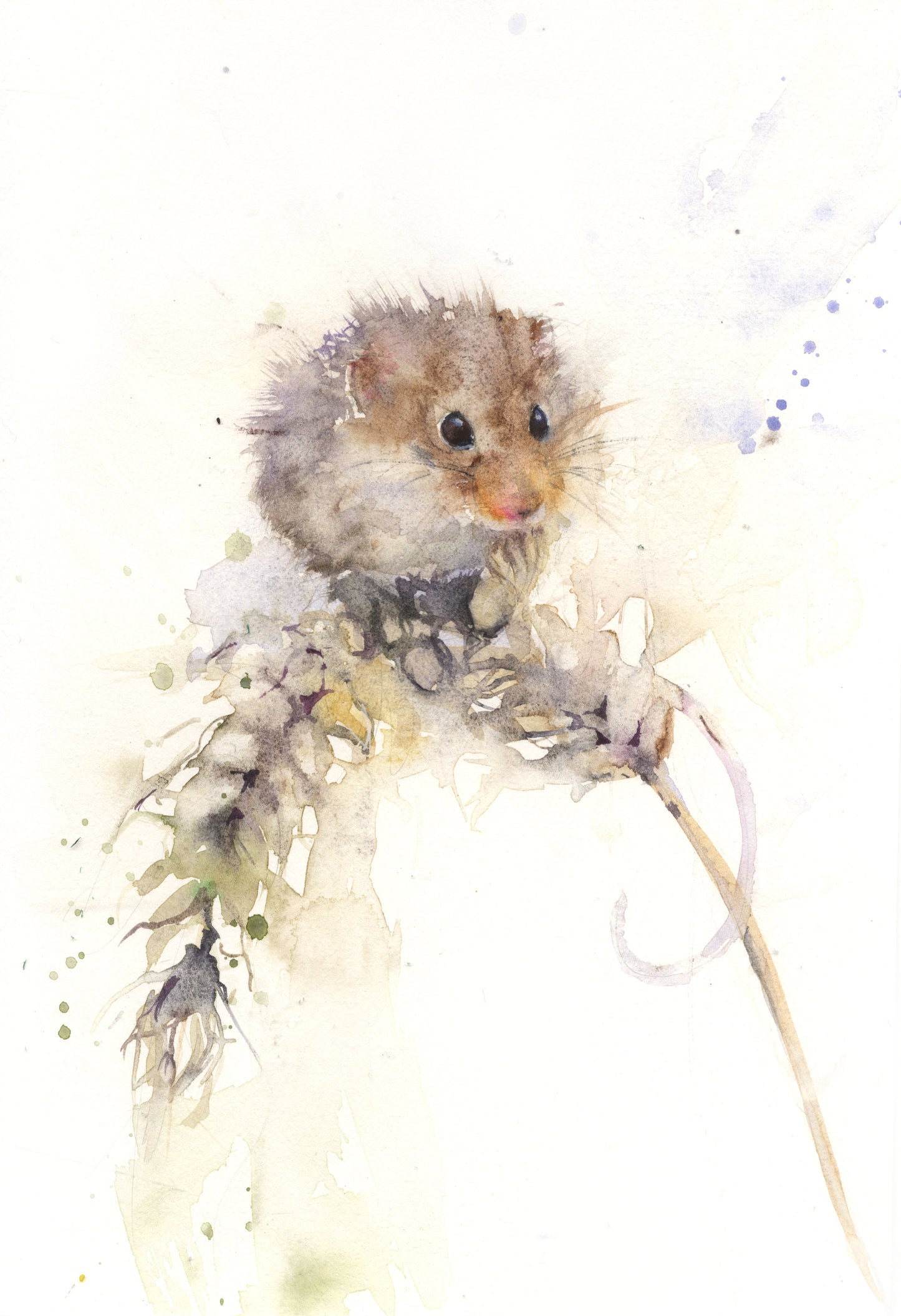 Original watercolour painting "Alice" field mouse on a ear of corn - Jen Buckley Art limited edition animal art prints